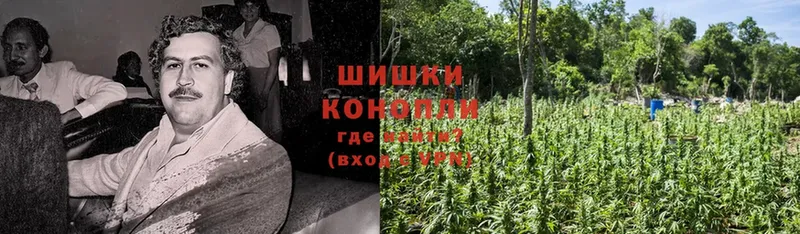 Шишки марихуана LSD WEED  Сорск 